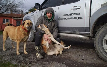 He left his profession and became a beacon of hope for animals!