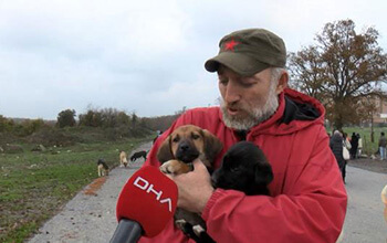 They took care of dozens of puppies in the forest!